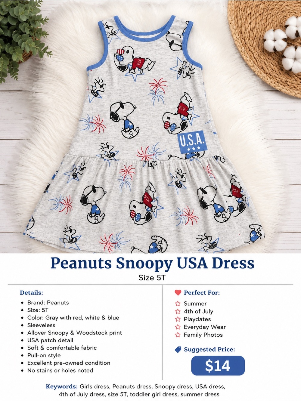 Peanuts Grey Sleeveless Snoopy Print Dress with Blue Trim - Picture 2 of 3